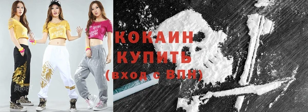 мет Бородино