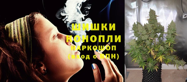 мет Бородино