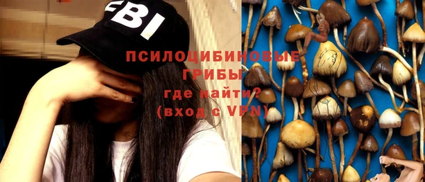 мет Бородино
